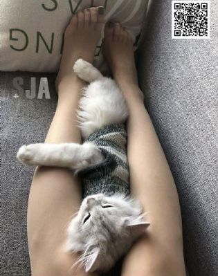 在线观看高清免费国产_高清全集免费观看