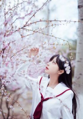 草莓视频官网视频全屏_在线播放高清